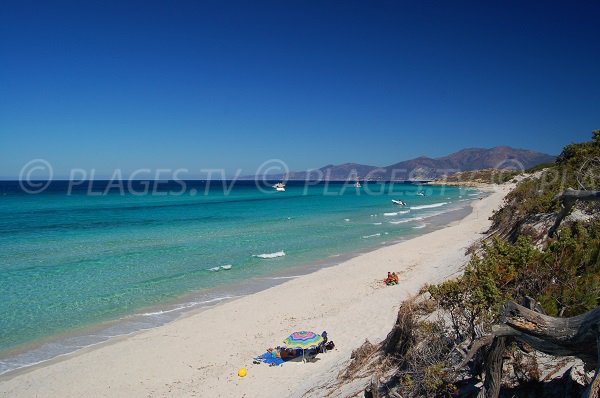 Saleccia beach in Agriates desert - Corsica