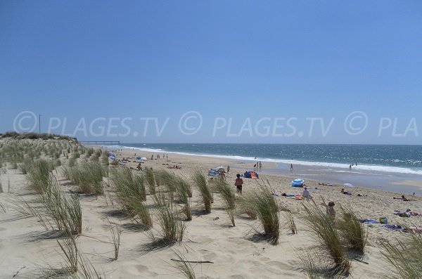 Salie beach in Pyla sur Mer - France