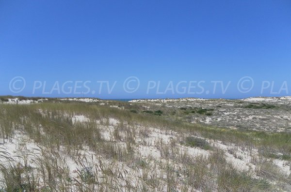 Dunes of Salie North beach in Pyla