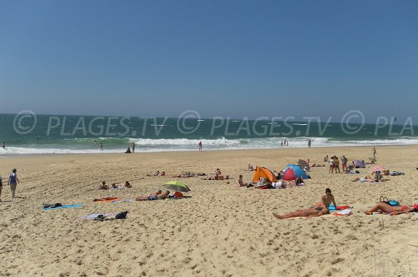 Plage de Salie Nord à Pyla sur Mer