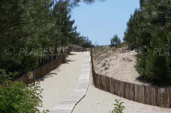 Dune of Salie south beach in Pyla