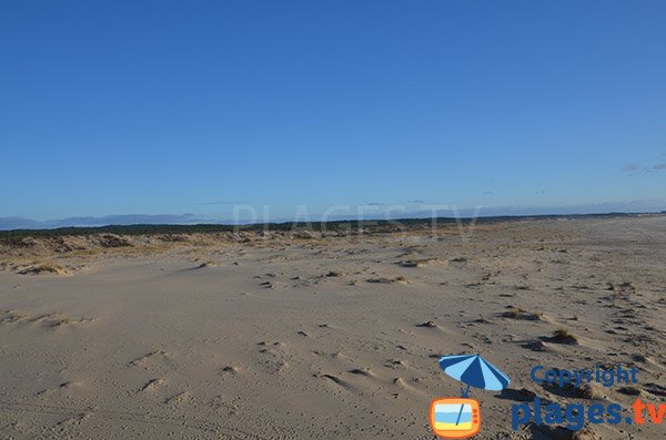 Massif dunaire de la plage Salie