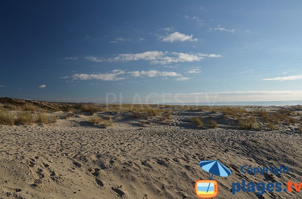 Photo des dunes de la plage de Salie à Pyla sur Mer