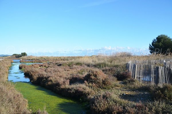 Trails to go to Salins beach in Hyères