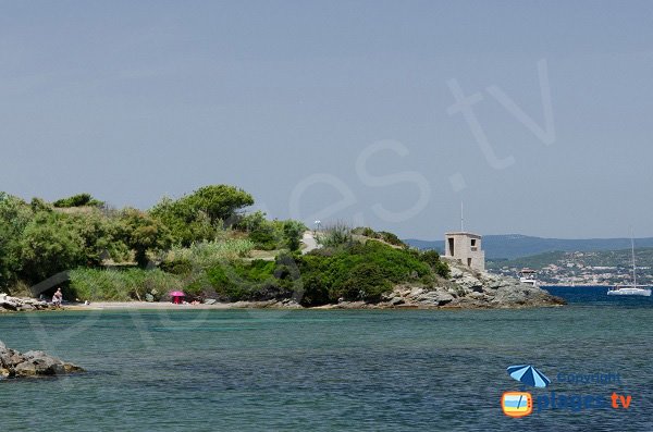 Crique des salins - Ile des Embiez