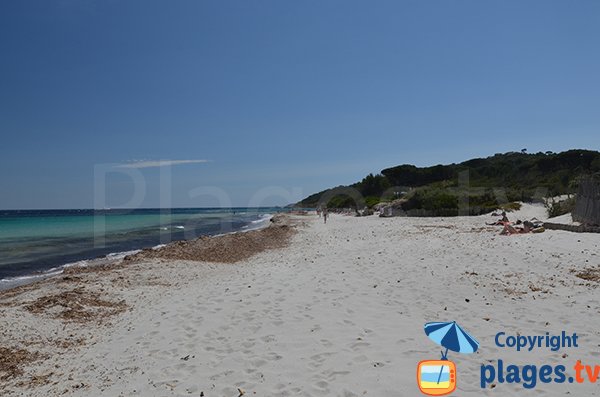 Wilde Umgebung für den Strand Les Salins