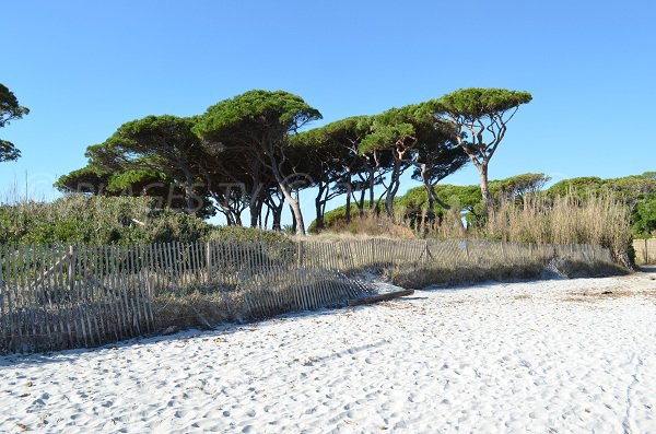 White sand on the Salins beach