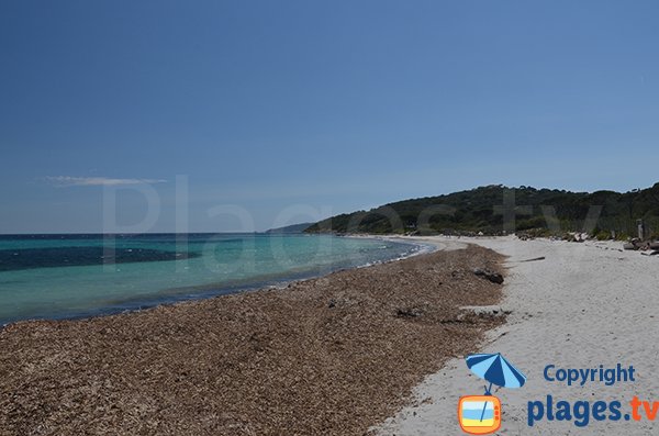 Plage sauvage à Saint-Tropez