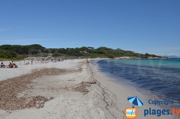 Salins beach in Saint Tropez (France)