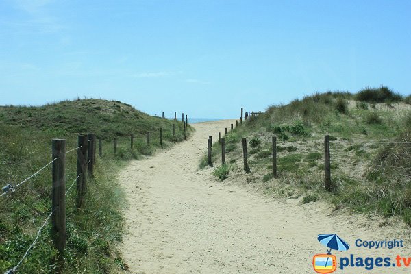 Sentier d'accès à la plage naturiste des Salins en Vendée