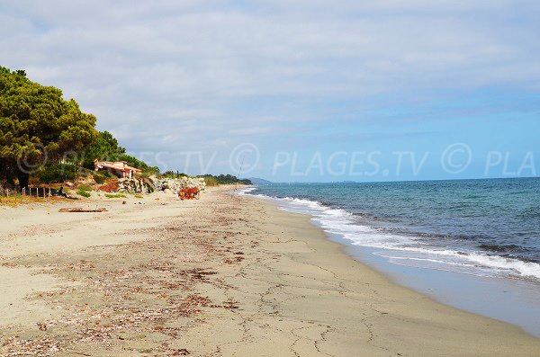 Spiaggia a San Giuliano - Frazione di Prunete - Corsica