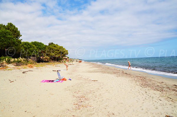 Photo de la plage de San Giuliano en Corse