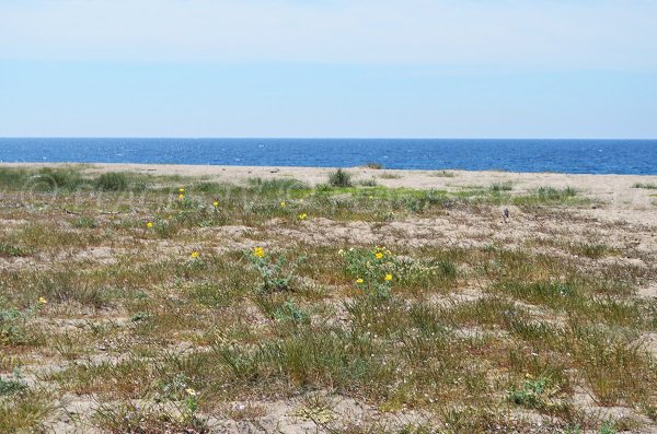 Environnement de la plage de San Giuseppe