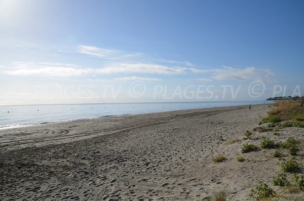 Plage à Penta-di-Casinca - San Pellegrinu