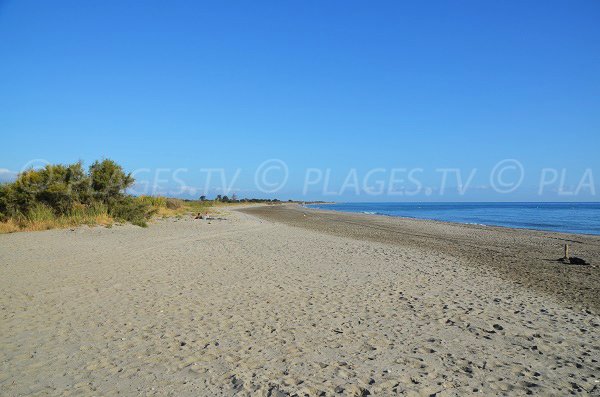 Tour en ruine sur la plage de San Pellegrino