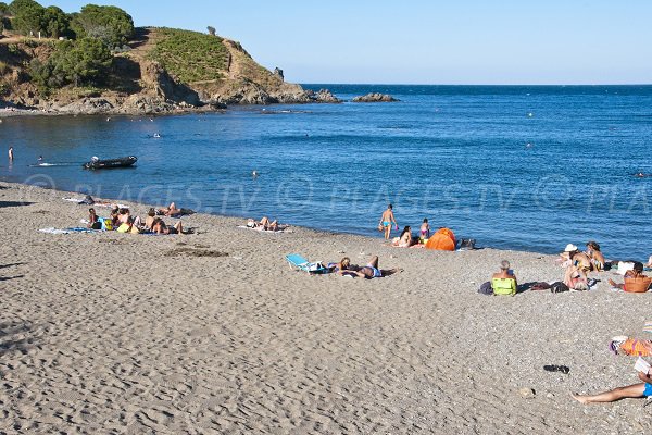 Plage de Sana à Banyuls avec vue sur le Cap Castell de Vello