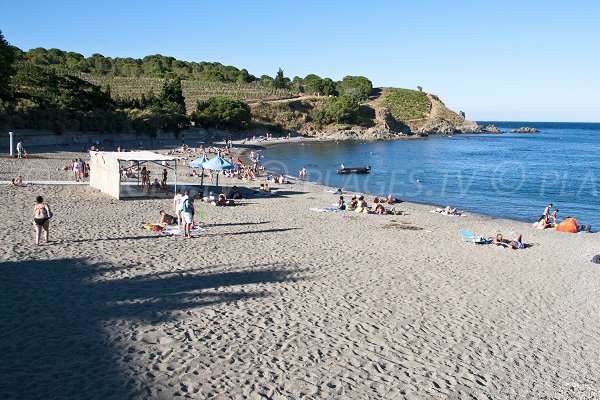 Beach near the Helio-Marin centre in Banyuls sur Mer - France