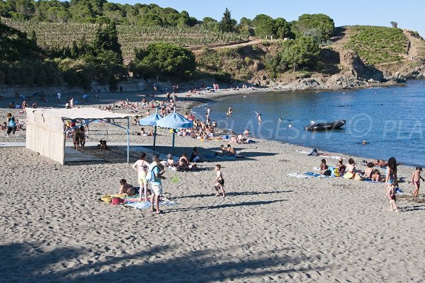 Spiaggia di Sana a Banyuls sur Mer in Francia