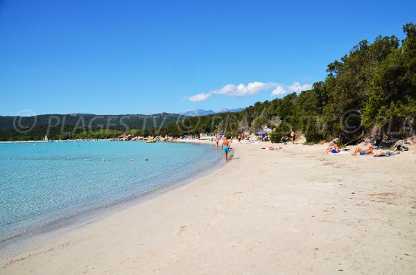 Sandy beach in the Hauts de Santa Giulia - Porto Vecchio - Corsica