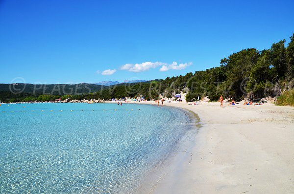 Photo de la plage de Santa Giulia à Porto Vecchio