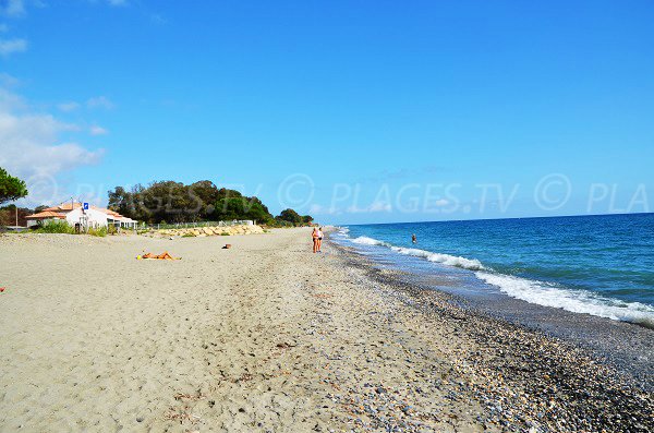 Environnement de la plage de Santa Lucia di Moriani - Haute-Corse