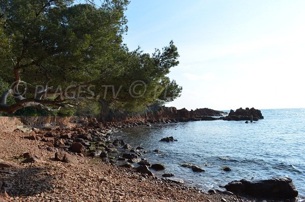 Wild beach in St Raphael in France