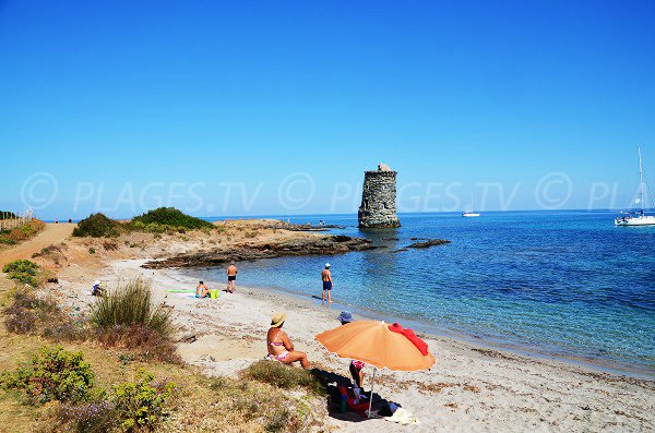 Plage avant la tour de Santa Maria à Macinaggio - Cap Corse