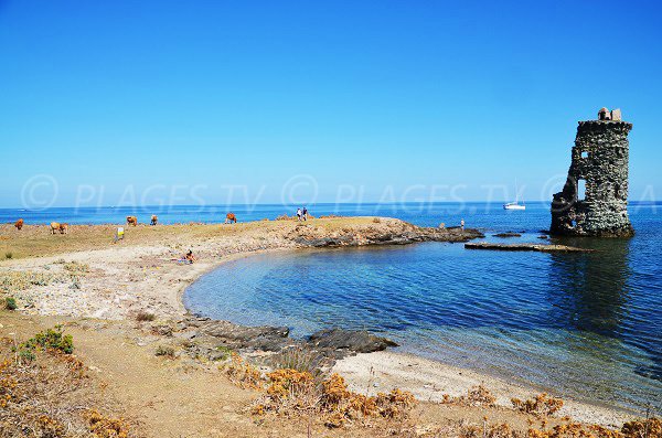 Photo de la plage de la Tour de Santa Maria dans le Cap Corse