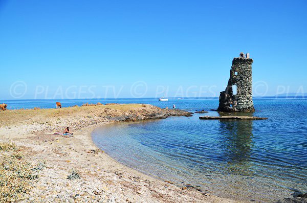 Santa Maria beach in Corsica (Macinaggio)