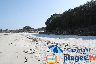 Plage de Santec de sable blanc avec des dunes