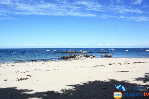 Plage au bord de la pinède des Sapins