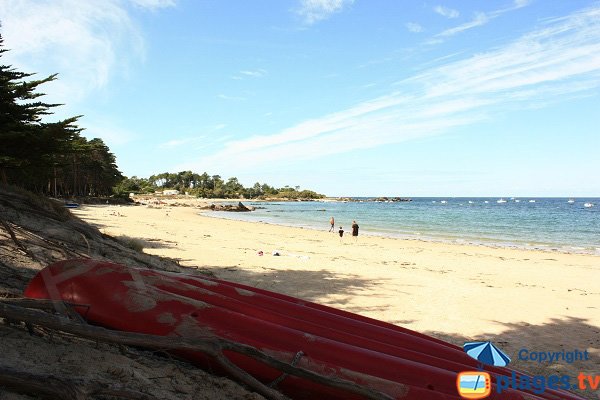 Photo de la plage des Sapins sur l'ile d'Yeu