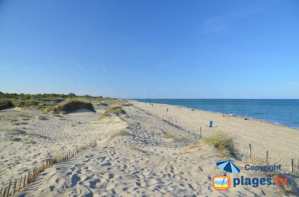 Wild beach in Canet en Roussillon in France