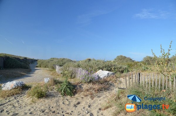 Sentier pour la zone nord du Sardinal