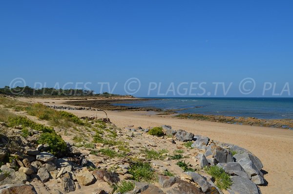 Plage de la Saucière côté Est - Ile de Ré