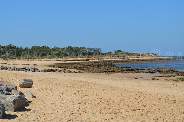 Plage au niveau de la pointe du Lizay