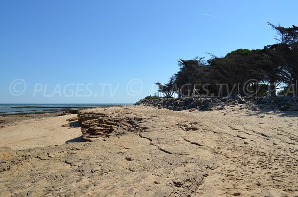 Rochers sur la plage de la Saucière