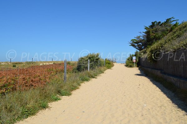 Chemin d'accès à la plage de la Saucière - Portes en Ré