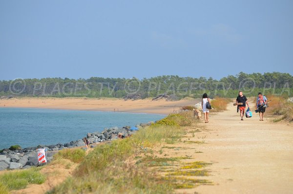  L'accesso alla spiaggia Saumonards lato Gautrelle