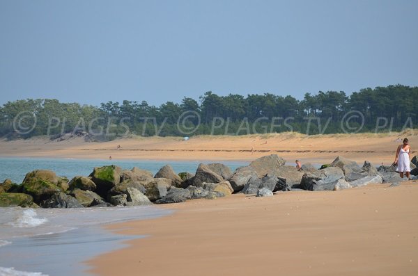 Plage de sable - Les Saumonards - Oléron