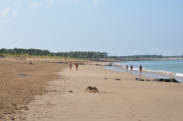 Photo de la plage des Saumonards sur l'ile d'Oléron