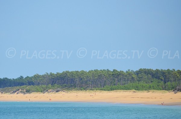 Saumonards beach in Oleron island