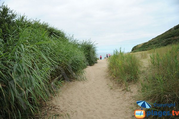 Sentier d'accès à la plage de Saussaye