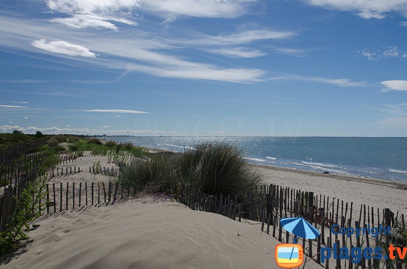 Plage sauvage de Carnon - Le Petit Travers