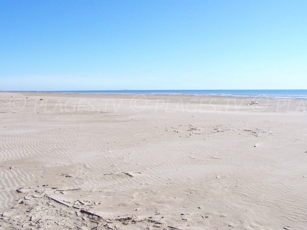  Spiaggia di Narbonne vicino Gruissan