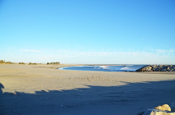 Wild beaches in Saintes Maries de la Mer