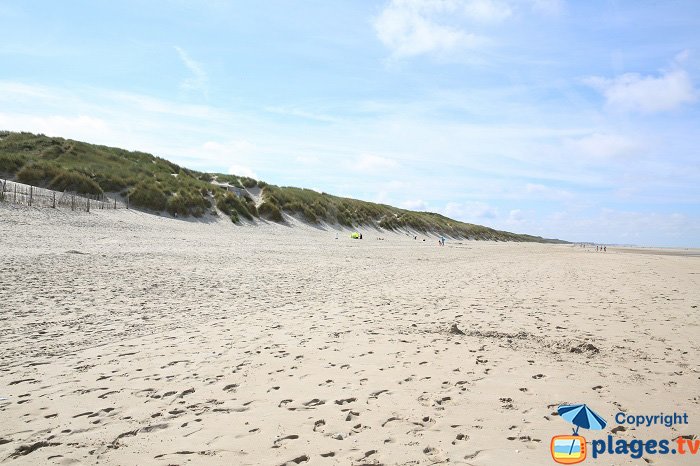 Plage sauvage du Touquet