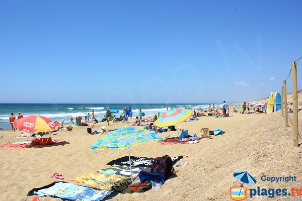 Photo de la plage de Sauveterre à Olonne sur Mer