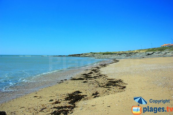 Surf spot in Brétignolles sur Mer - La Sauzaie