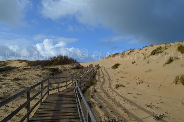 Passerelle de la plage de la Savane à Capbreton